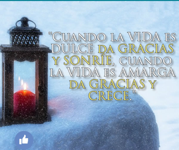 4 Tips Para Crear Una Actitud De Agradecimiento Freddyortiz